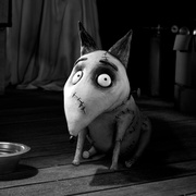 点击查看图片 科学怪狗 Frankenweenie
