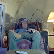 点击查看图片 八脚怪 Eight Legged Freaks