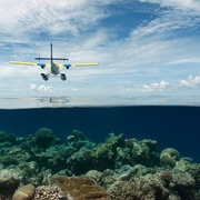 点击查看图片 飞行时代 Living in the Age of Airplanes