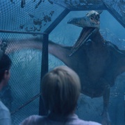 点击查看图片 侏罗纪公园3 Jurassic Park III