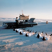 点击查看图片 列宁格勒牛仔征美记 Leningrad Cowboys Go America
