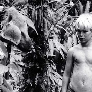 点击查看图片 蝇王 Lord of the Flies