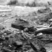 道森市：冰封时光 Dawson City: Frozen Time