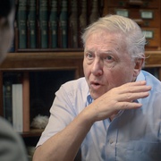 当比约克遇上爱登堡 When Björk Met Attenborough