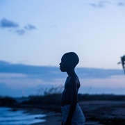 点击查看图片 月光男孩 Moonlight