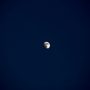 点击查看图片 月光男孩 Moonlight