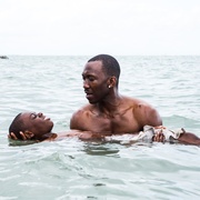 点击查看图片 月光男孩 Moonlight