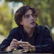 点击查看图片 伯德小姐 Lady Bird