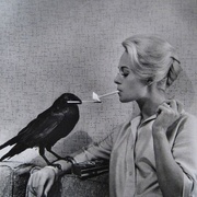 点击查看图片 群鸟 The Birds