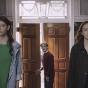 点击查看图片 良种动物 Thoroughbreds