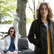 点击查看图片 良种动物 Thoroughbreds