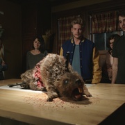 僵尸海狸 Zombeavers