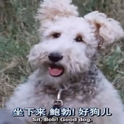 点击查看图片 大侦探波洛 第六季 Agatha Christie's Poirot Season 6