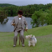 点击查看图片 大侦探波洛 第六季 Agatha Christie's Poirot Season 6