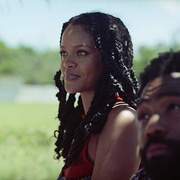 番石榴岛 Guava Island