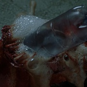 点击查看图片 吸血鬼2 Dracula II: Ascension