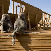 点击查看图片 冒牌天神2 Evan Almighty