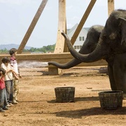 点击查看图片 冒牌天神2 Evan Almighty