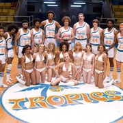 半职业选手 Semi-Pro