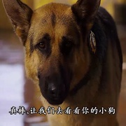比佛利拜金狗2 Beverly Hills Chihuahua 2