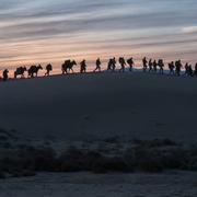 点击查看图片 12勇士 12 Strong
