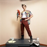 点击查看图片 神探飞机头 Ace Ventura: Pet Detective