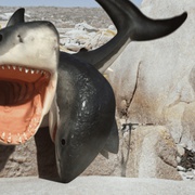 夺命六头鲨 6-Headed Shark Attack