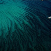 点击查看图片 海洋星球 Planet Ocean