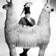 杜立德医生 Doctor Dolittle