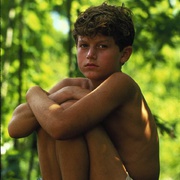 点击查看图片 蝇王 Lord of the Flies
