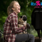 我的冤家是条狗 Patrick