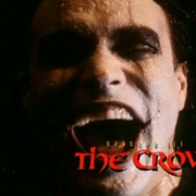 点击查看图片 乌鸦 The Crow