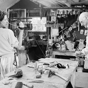点击查看图片 阿瑟·米勒:作家 Arthur Miller: Writer