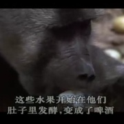 点击查看图片 可爱的动物 Animals Are Beautiful People