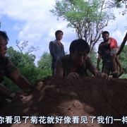 英雄无泪 英雄無淚