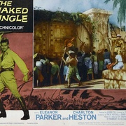 点击查看图片 蚂蚁雄兵 The Naked Jungle