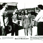 盒光之夜 Box of Moon Light
