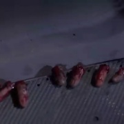 点击查看图片 潜龙轰天2 Under Siege 2: Dark Territory