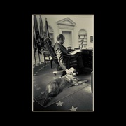 军犬麦克斯2：白宫英雄 Max 2: White House Hero