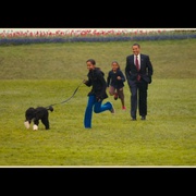 军犬麦克斯2：白宫英雄 Max 2: White House Hero