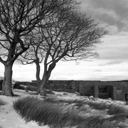 点击查看图片 呼啸山庄 Wuthering Heights
