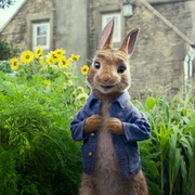 点击查看图片 比得兔 Peter Rabbit
