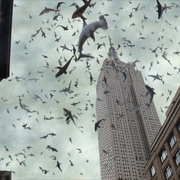 点击查看图片 鲨卷风2 Sharknado 2: The Second One