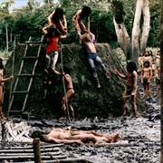 食人族 Cannibal Ferox