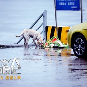 忠犬流浪记