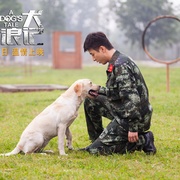 忠犬流浪记