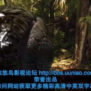 点击查看图片 巨蟒大战恐鳄 Mega Python vs. Gatoroid