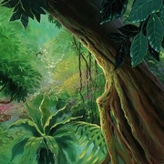点击查看图片 最后的雨林 FernGully: The Last Rainforest