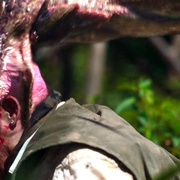 异形魔怪：尖叫岛 Tremors: Shrieker Island