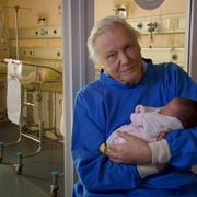 点击查看图片 动物的崛起:脊椎动物的胜利 David Attenborough's Rise of Animals: Triumph of the Vertebrates